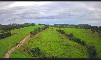 Imagem 4: A&M IMOVEIS VENDE EXELENTE FAZENDA COM 101,64 HECTARES
