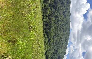 Imagem 2: Lotes para venda com 500 metros quadrados em Colégio - Ibiúna - SP