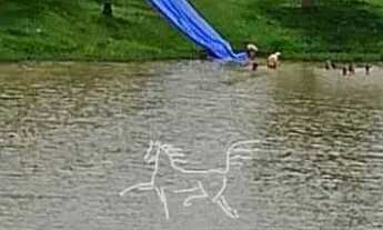 Imagem 6: Imóvel para venda tem 250000 metros quadrados com 19 quartos em Zona Rural - Piraí - RJ