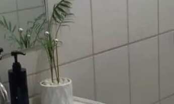 Imagem 2: Linda Casa Térrea