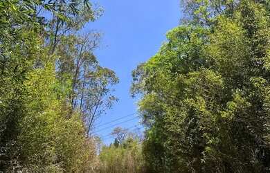 Imagem 5: TERRENO DE 1000M A VENDA EM IBIUNA POR APENAS R$60MIL - ULTIMA SEMANA