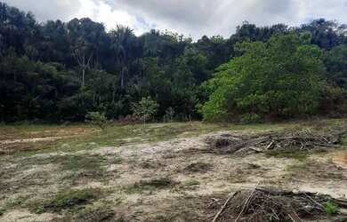 Imagem 5: Vendo um belo sítio am 010 beira da estrada informação * com igarape! E frutei