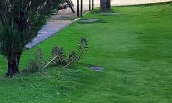 Imagem 5: Apartamento na Barra Ceará