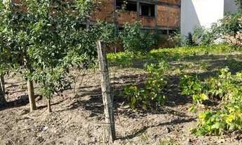 Imagem 2: Terreno em Carapebus