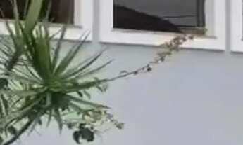 Imagem 3: Sobrado em Rua Américo Vespucci - Vila Prudente - São Paulo/SP