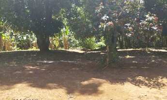 Imagem 7: Chácara com 3 dormitórios à venda, 10000 m² por R$ 290.000,00 - Zona Rural - Brasília de M