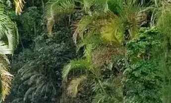 Imagem 2: Apartamento em Alameda Paulo Gonçalves - Ilha Porchat - São Vicente/SP