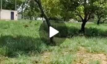 Imagem 5: Lote QUITADO próx a TO 080 LAGUNA 1