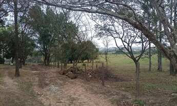 Imagem 3: Sítio em Limeira