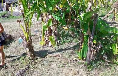 Imagem 3: Santa Cruz Terreno / lote com venda por R$29.999