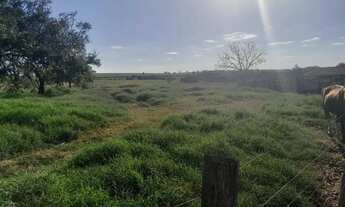 Imagem 6: Sitio em cajuru 3 alqueires 1.500.000.00 ( laer