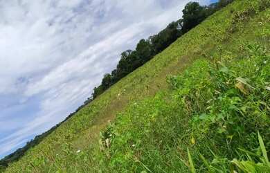 Imagem 6: Lotes Rurais em Ibiúna para Moradia ou Lazer