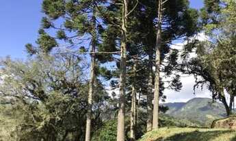 Imagem 5: Sítio em Urubici/área comercial/terreno urbano lote