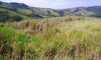 Imagem 4: Fazenda 172 alqueires rica em água negociável
