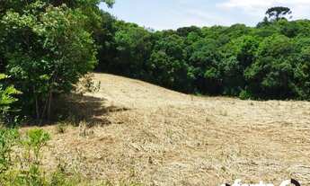 Imagem: Chácara à venda em Rio verde acima, Araucária