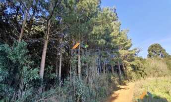 Imagem 7: Terreno - Campo Alegre/SC