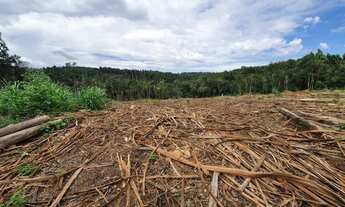 Imagem 4: Sítio em Colombo