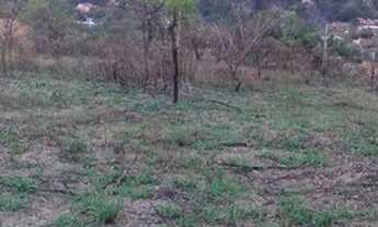 Imagem 4: Lote para Venda em Ribeirão das Neves, Vale das Acácias