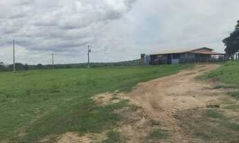 Imagem 2: FAZENDA 5000 Hectares em Palmas TO