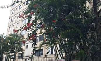 Imagem 6: SãO PAULO - Padrão - Barro Branco (Zona Norte