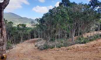 Imagem 5: Terreno 10000m2 para sitio, 1km da BR, Penha de Paulo Lopes