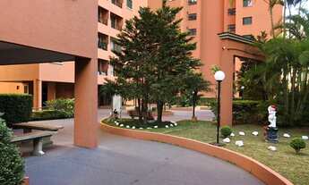 Imagem 1: Jardim Bela Vista - Decorado