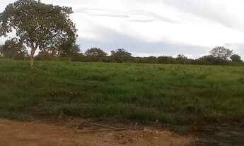 Imagem 3: Excelente Fazenda Município Porto Alegre do Norte MT