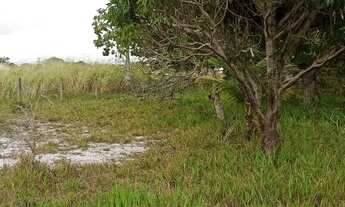 Imagem 7: ARARUAMA - venda - Praia Seca