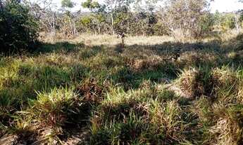 Imagem 4: Terreno 29ha, terra boa e quase todo formado em branquearão, Baldim