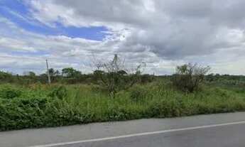 Imagem 3: Área 4.4 Hectares Beira de Pista na BR 230