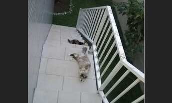 Imagem 2: Imóvel Casa com 3 dormitórios