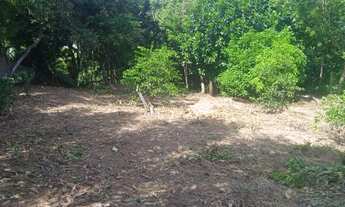 Imagem 3: Vendo chacara em porto dorado