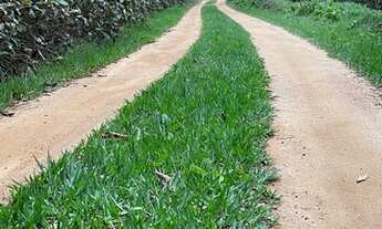 Imagem: Terreno / Chácara - Santa Isabel - Domingos