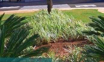 Imagem: Terreno à venda, 253 m² por R$ 147.000,00