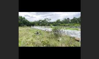 Imagem 3: Terreno praia do Ervino