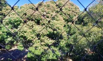 Imagem: Apartamento de 1 quarto na 408 Sul