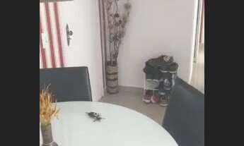 Imagem 3: AÉQUITAS VENDE APARTAMENTO REFORMADO SALA 2 QUARTOS GARAGEM