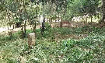 Imagem 2: Terreno km4 antonina pr