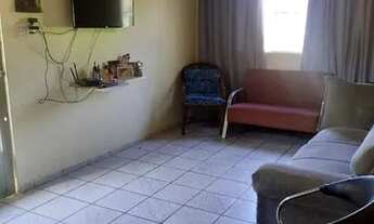 Imagem 4: Vendo uma chácara