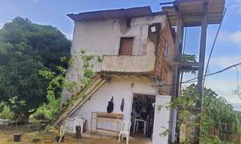 Imagem 5: SITIO PARA CRIAÇÃO DE TILÁPIAS