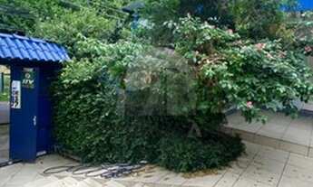 Imagem 3: PORTO ALEGRE - Casa Padrão - Nonoai