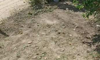 Imagem 2: Casa 3x4 R$20.000,00