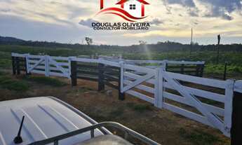 Imagem 4: Fazenda De 13.000 Hectares No Estado Do Pará