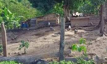 Imagem 7: CHÁCARA NA ESTRADA PARA VALADARES