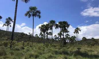Imagem 3: Vendo Fazenda Pacary