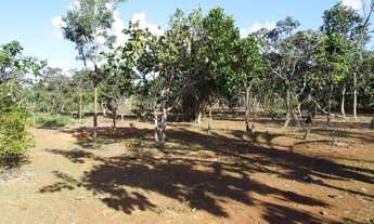 Imagem 3: Chácara 2 Hectares Chacara De 20.000M2, São 20.000M2!. DN6UNS