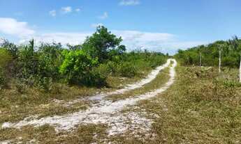 Imagem 2: Oportunidade terreno no povoado Angelim santo amaro