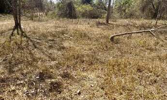 Imagem 7: Chacara em Guapo escritura individual 10 mil de entrada com acesso comum no corrego chaca