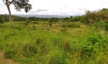 Imagem 4: Fazenda Goiás São João da Aliança