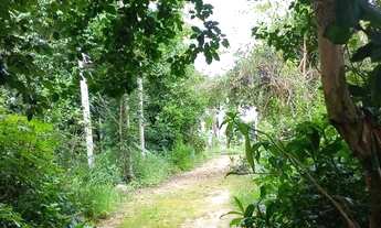 Imagem 2: Lote em Pedra Azul